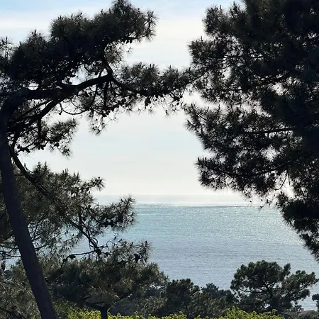 Hemera - Archik - Vue -