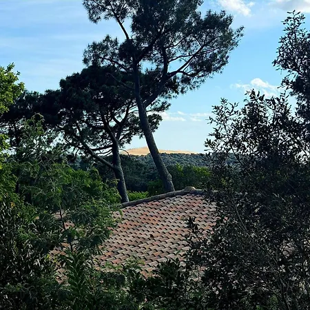 Hemera - Archik - Vue -